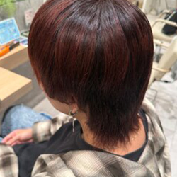 ワインレッドcolor